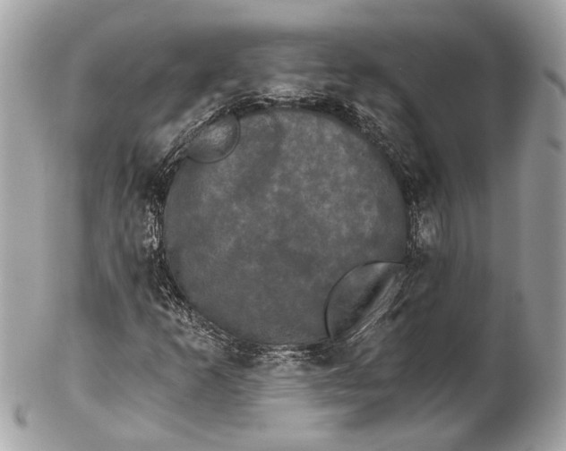 X0000102241253200808151745