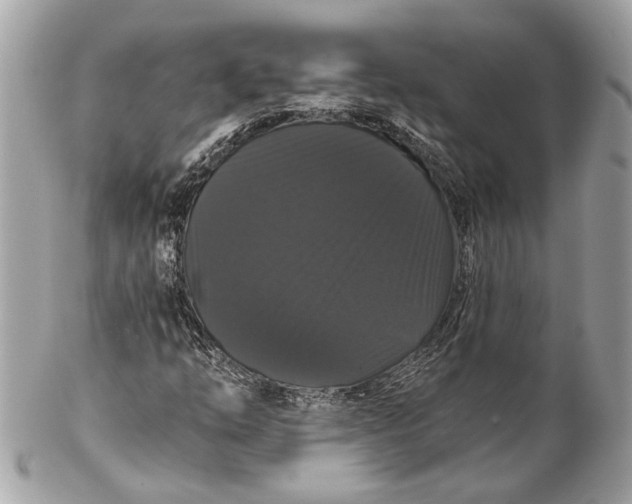 X0000102241254200808151745