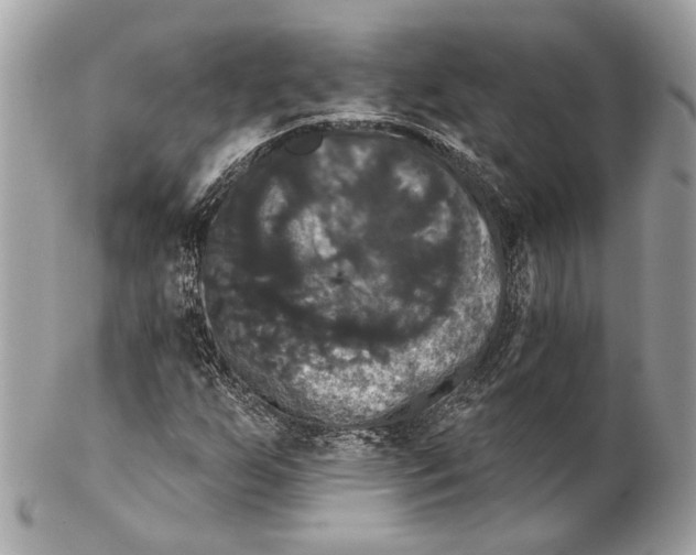 X0000102241255200808151745