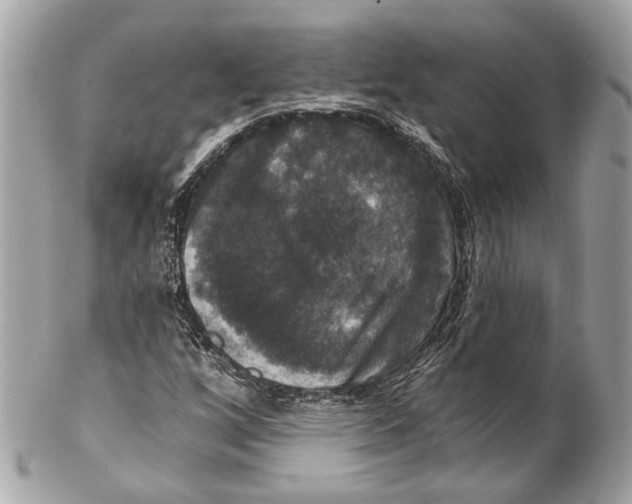 X0000102241256200808151745