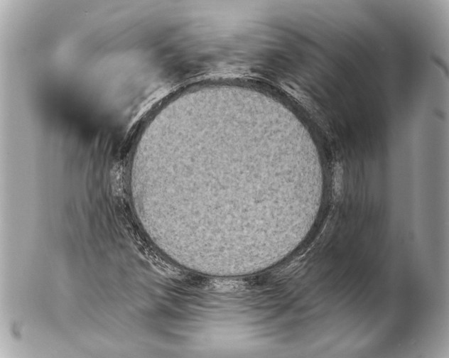 X0000102241258200808151745