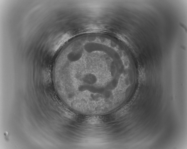 X0000102241259200808151745