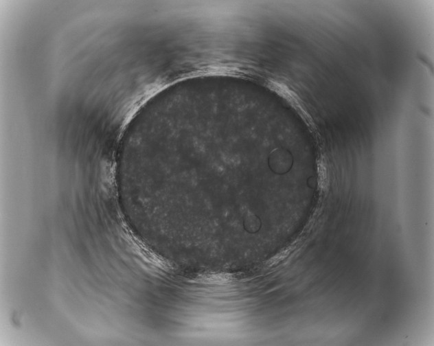 X0000102241260200808151745