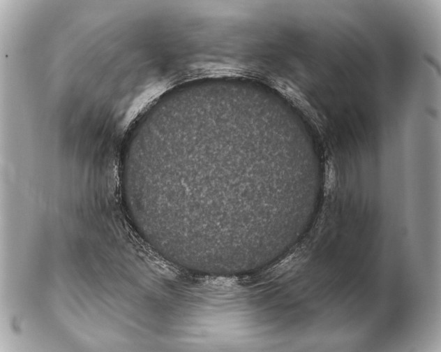 X0000102241261200808151745