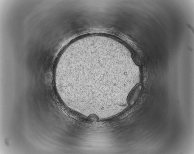 X0000102241264200808151745