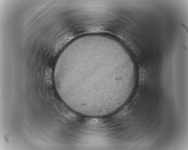 X0000102241265200808151745