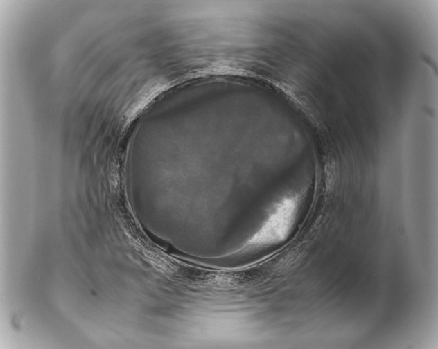 X0000102241266200808151745