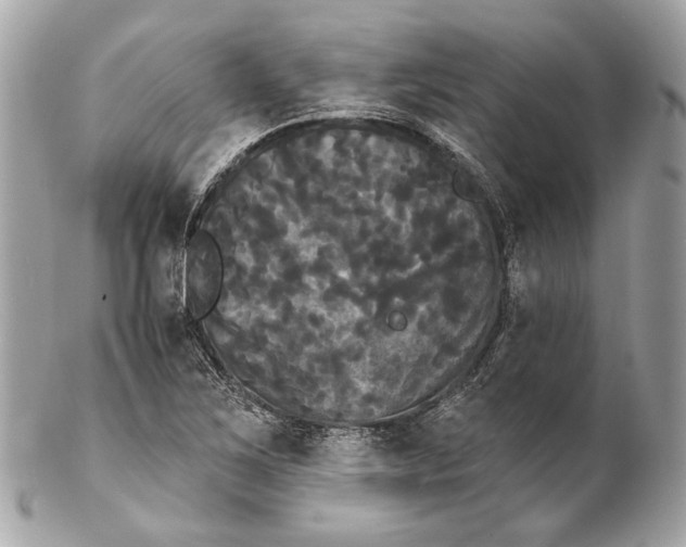 X0000102241267200808151745