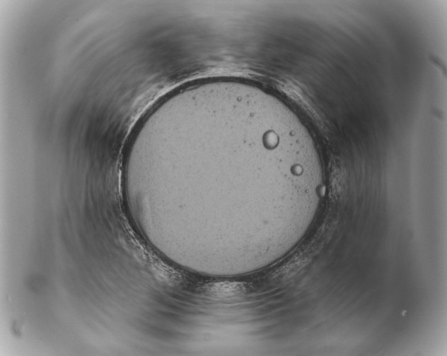 X0000102241268200808151745