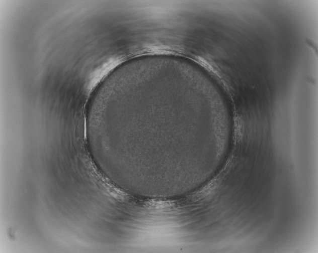 X0000102241269200808151745