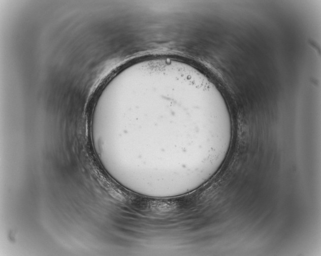 X0000102241270200808151745