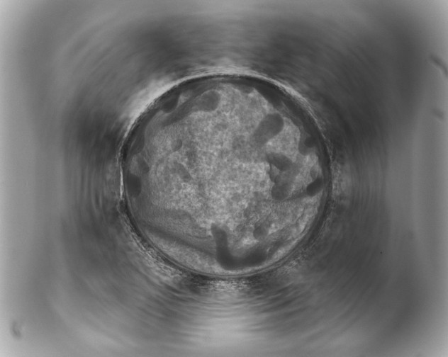 X0000102241271200808151745