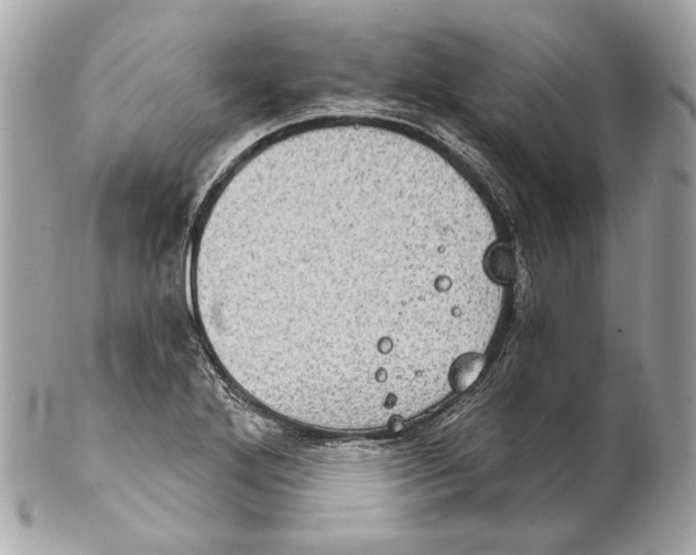 X0000102241272200808151745