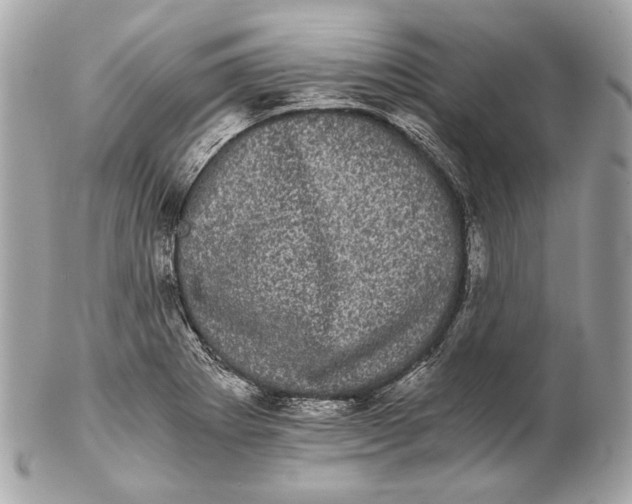 X0000102241273200808151745