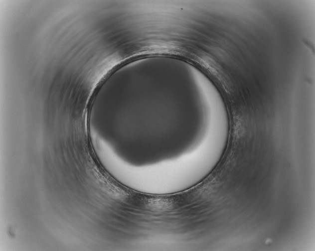 X0000102241275200808151745