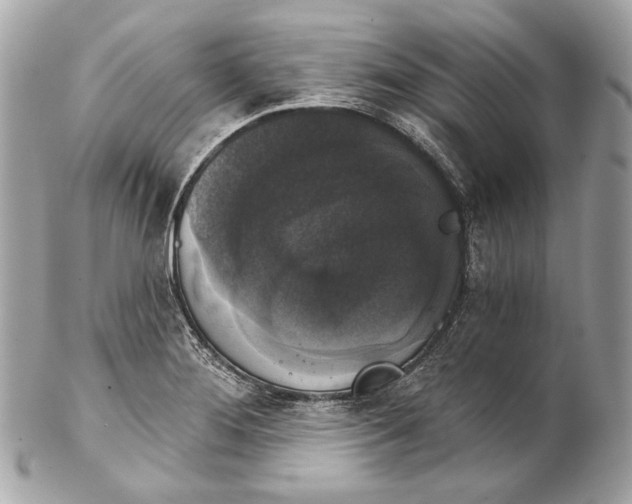 X0000102241276200808151745