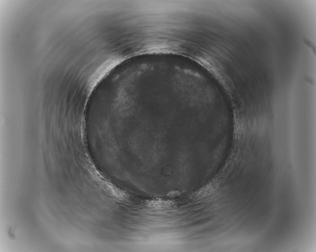 X0000102241277200808151745