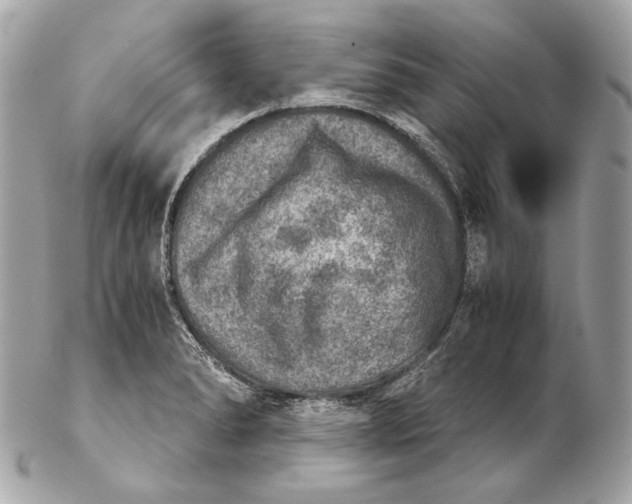 X0000102241278200808151745