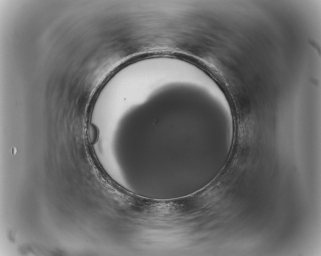 X0000102241279200808151745