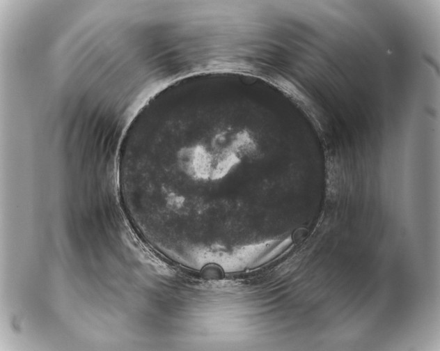 X0000102241280200808151745