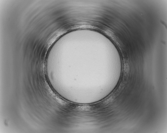 X0000102241282200808151745