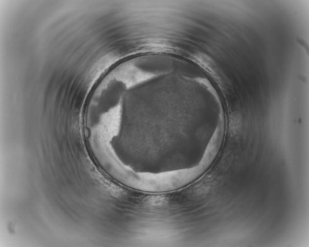 X0000102241283200808151745