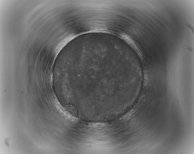 X0000102241284200808151745