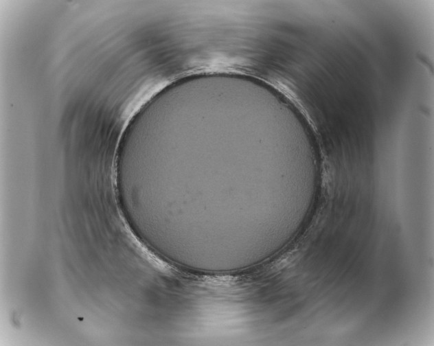 X0000102241285200808151744