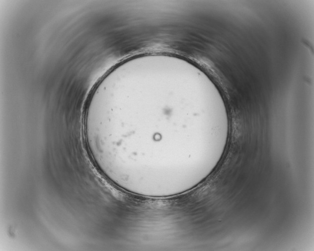 X0000102241286200808151744