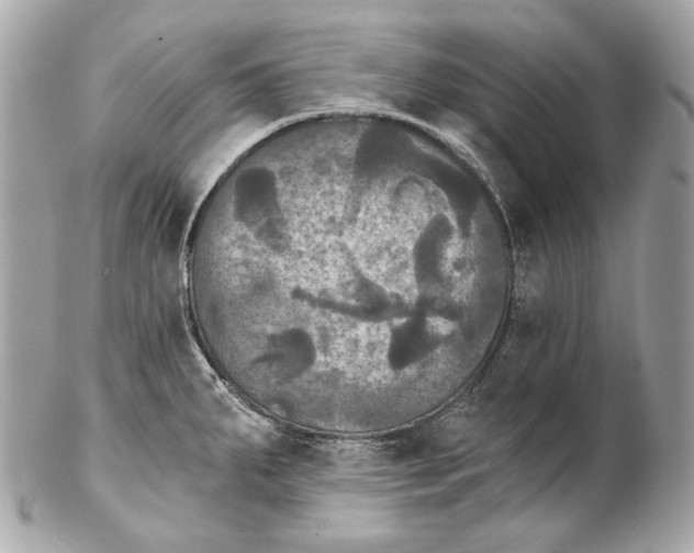 X0000102241287200808151744