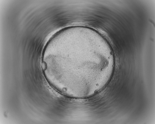 X0000102241288200808151744