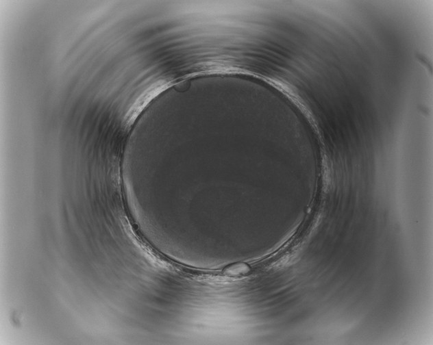 X0000102241289200808151744