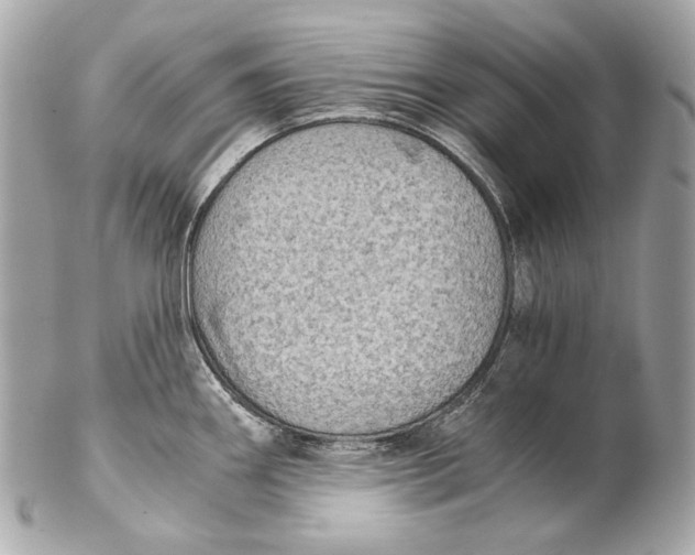 X0000102241290200808151744