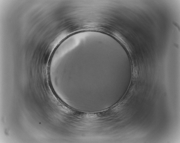 X0000102241291200808151744