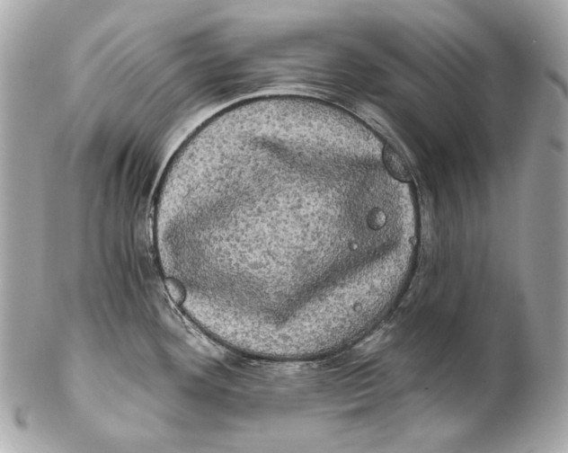 X0000102241292200808151744