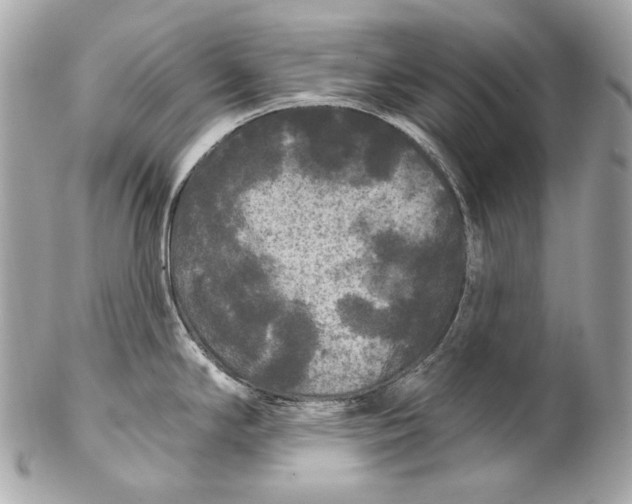 X0000102241294200808151744