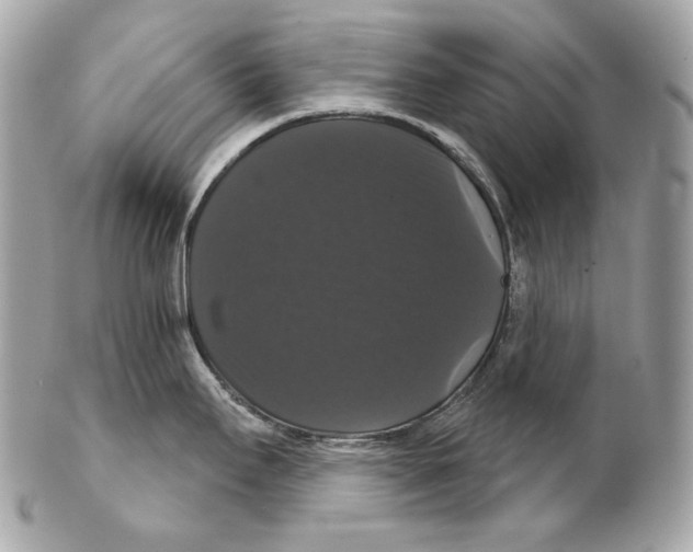 X0000102241295200808151744