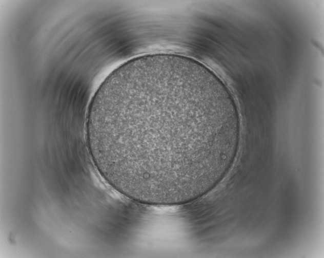 X0000102241296200808151744