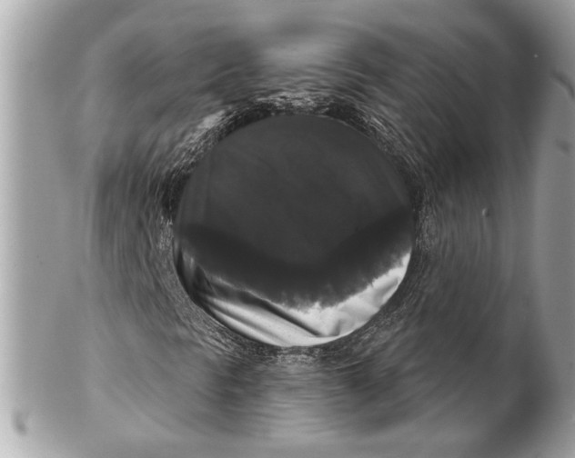 X0000102241297200808151744