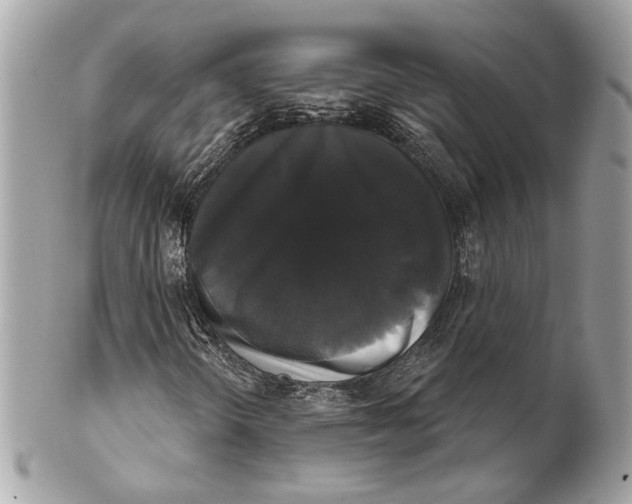 X0000102241298200808151744