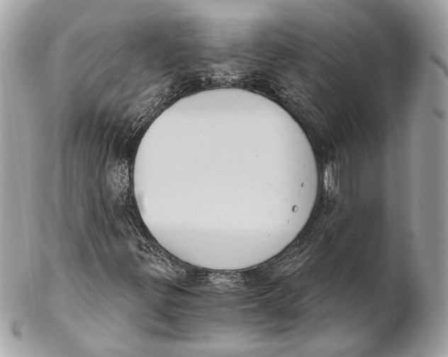 X0000102241299200808151744