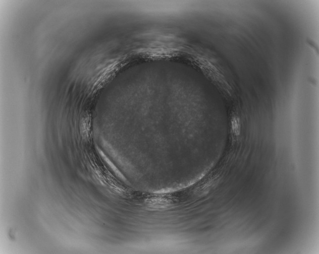 X0000102241300200808151744