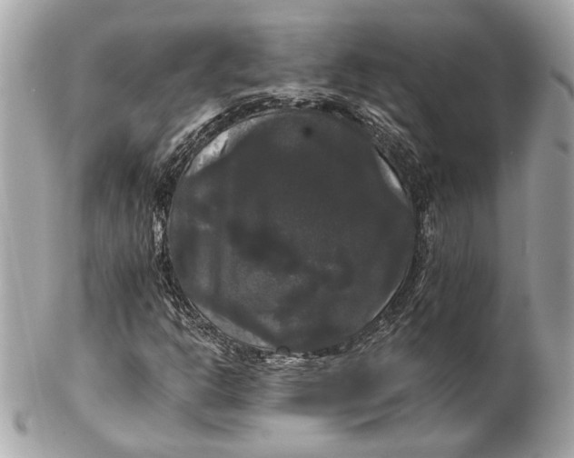 X0000102241302200808151744