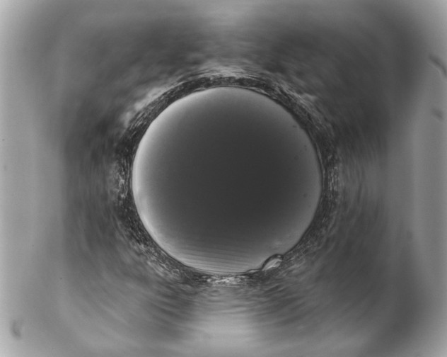 X0000102241303200808151744