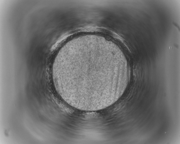 X0000102241304200808151744