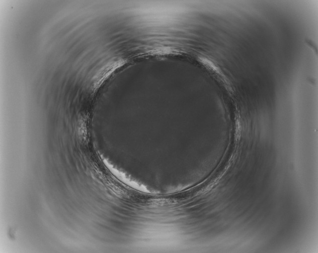 X0000102241305200808151744