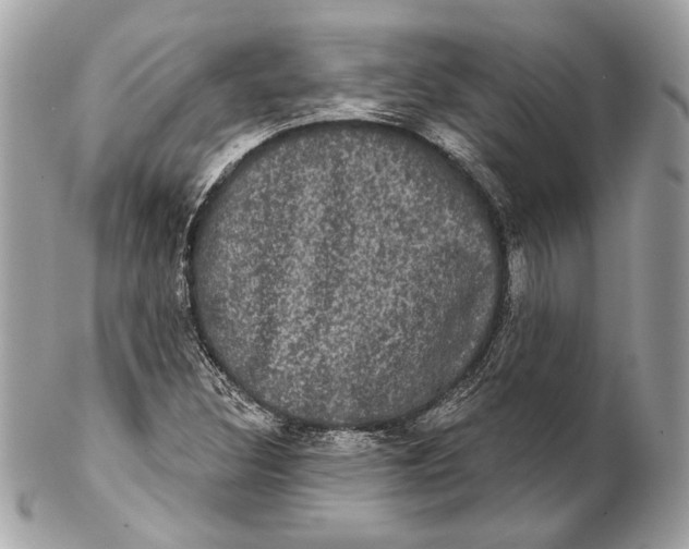 X0000102241308200808151744