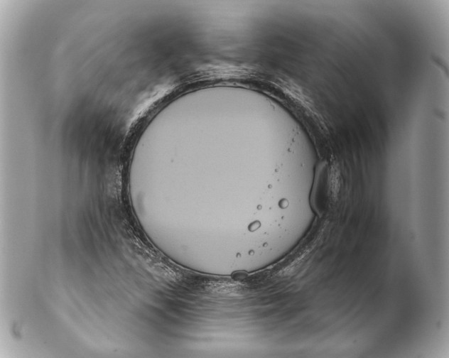 X0000102241309200808151744