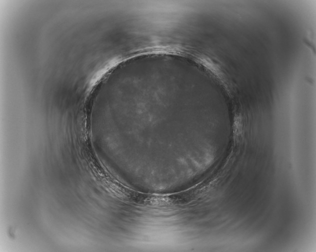 X0000102241310200808151744