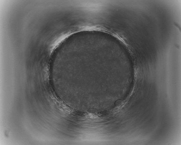 X0000102241311200808151744